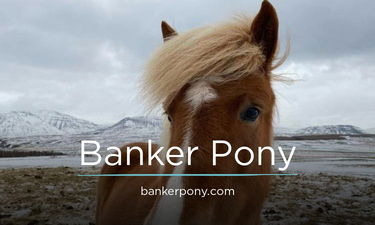 BankerPony.com - Creative brandable domain for sale
